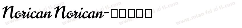 Norican Norican字体转换